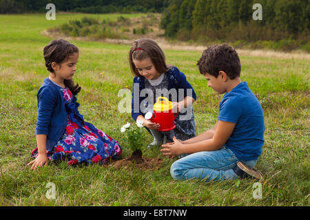 Kinder im Garten und Bewässerung von Pflanzen mit einer Spielzeug-Kunststoff-Gießkanne Stockfoto