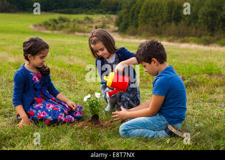 Kinder im Garten und Bewässerung von Pflanzen mit einer Spielzeug-Kunststoff-Gießkanne Stockfoto