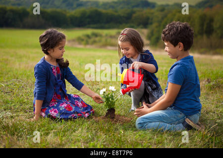 Kinder im Garten und Bewässerung von Pflanzen mit einer Spielzeug-Kunststoff-Gießkanne Stockfoto