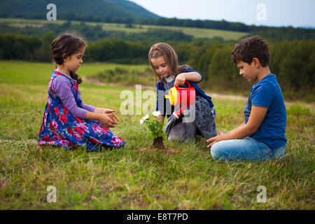 Kinder im Garten und Bewässerung von Pflanzen mit einer Spielzeug-Kunststoff-Gießkanne Stockfoto