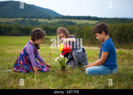 Kinder im Garten und Bewässerung von Pflanzen mit einer Spielzeug-Kunststoff-Gießkanne Stockfoto