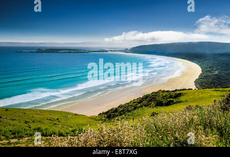 Sandstrand an der Küste, Tautuku Bay, Catlins, Südinsel, Neuseeland Stockfoto