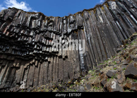 Basaltsäulen, Skaftafell-Nationalpark, Island Stockfoto