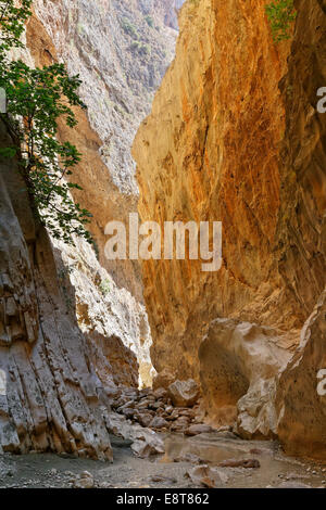 Saklıkent Canyon, Provinz Muğla, Lykien, Ägäis, Türkei Stockfoto