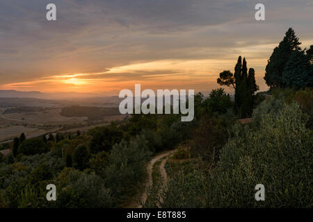 Sonnenuntergang über das Val d ' Orcia Stockfoto