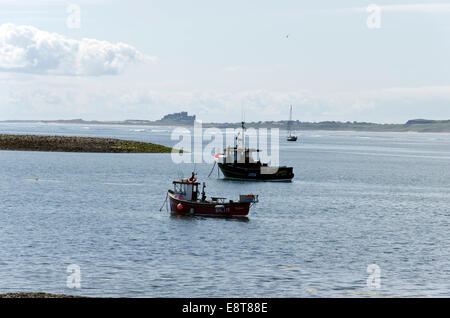 Blick nach Süden in Richtung Bamburgh Castle vom Hafen auf der Insel Lindisfarne (Holy Island), North East England. Stockfoto