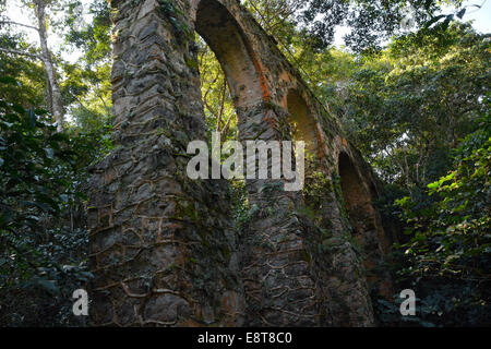 Aquädukt im Regenwald in der Nähe von abrao, Ilha Grande, Rio de Janeiro, Brasilien Stockfoto