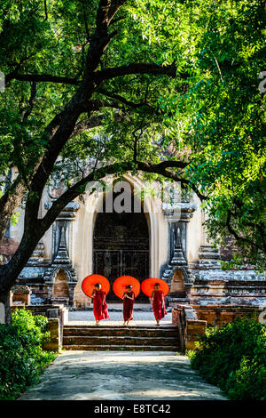 Asiatische buddhistische Mönche tragen Regenschirme auf Treppe am Hsinbyume Pagode, Mandalay, Sagaing, Myanmar Stockfoto