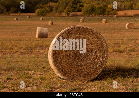 Heuballen Ernte Feld in ländlichen Landschaft Stockfoto