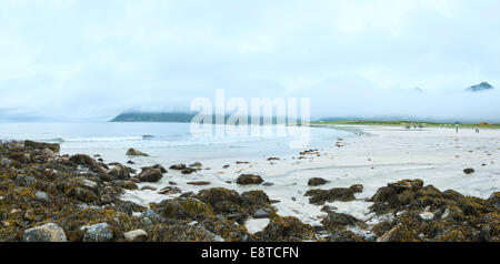 Sommer trüben Blick auf den Strand mit weißem Sand und Algen auf Steinen in Ramberg (Norwegen, Lofoten). Stockfoto