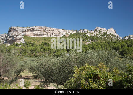 Vvew von Les Baux-de-Provence, Südfrankreich, zeigt Schloss oben auf der Klippe über Olivenhain Stockfoto