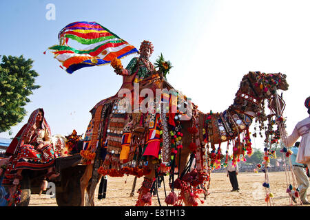 Eine indische Frau und ein Mann reitet auf einem Kamel Wagen, Pushkar, Rajasthan, Indien Stockfoto