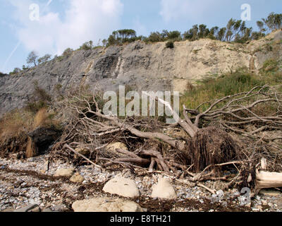 Klippen entlang Monmouth Strand, Lyme Regis, Dorset, Großbritannien Stockfoto