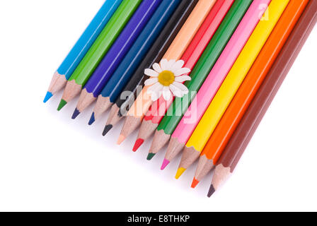 Blume auf Buntstifte isoliert auf einem weißen Hintergrund. Stockfoto