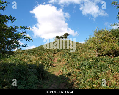 Wanderweg auf den Gipfel des Colmer Hill, Symondsbury, Dorset, UK Stockfoto