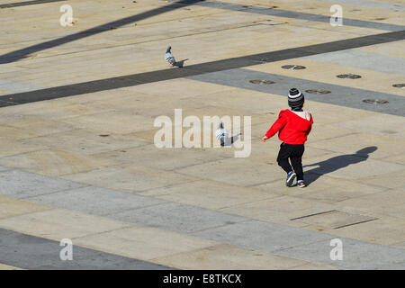 Derry, Londonderry, Nordirland, Vereinigtes Königreich. 14. Oktober 2014. UK-Wetter: Herbst Sonne weiter, Derry, Londonderry, Nordirland - 14. Oktober 2014. Ein kleiner Junge jagt Tauben in Guildhall Square, Londonderry, in der Nachmittagssonne im Herbst. Bildnachweis: George Sweeney/Alamy Live-Nachrichten. Stockfoto