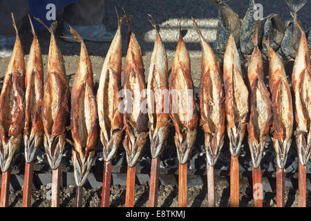 Offenen Feuer gegrillten Fisch auf einem Stick Stockfoto