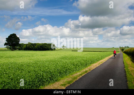 Die Yorkshire Wolds Radweg Radfahren Stockfoto