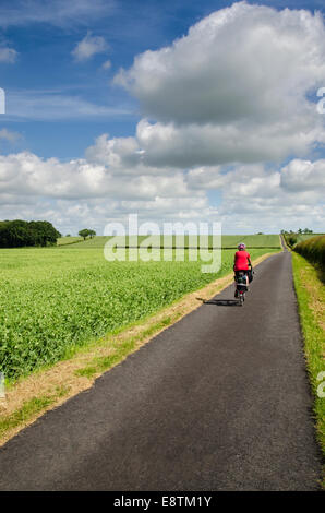 Die Yorkshire Wolds Radweg Radfahren Stockfoto