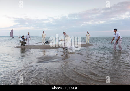 Aktion während der jährlichen Brambles Cricket-Match zwischen Mitgliedern der Island Sailing Club und Royal Southern Yacht Club Stockfoto