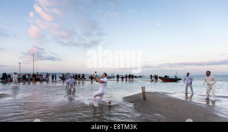 Aktion während der jährlichen Brambles Cricket-Match zwischen Mitgliedern der Island Sailing Club und Royal Southern Yacht Club Stockfoto