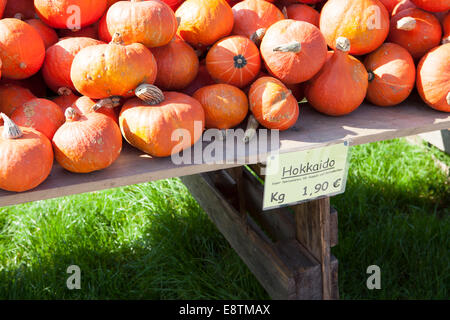 Haufen von Hokkaido Kürbisgewächse (Cucurbita Maxima), Stockfoto