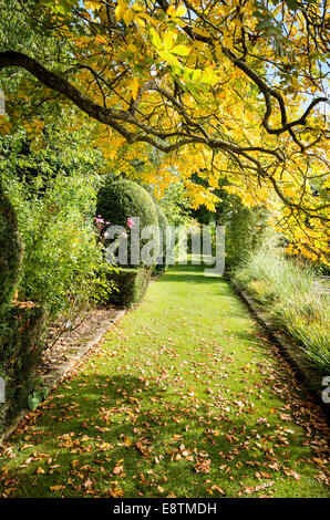 Wald Herbst Weg in The Courts Garten im September Stockfoto