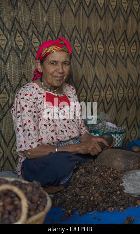 Ein Mitglied der Genossenschaft die Argan-Muttern die Schalen entfernen.  "Marjana" Marokko. Stockfoto