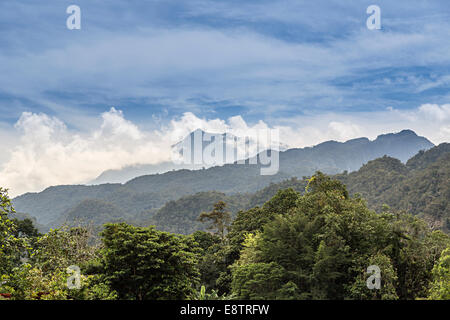 Regenwald und Berge, Gunung Mulu National Park, Sarawak, Malaysia Stockfoto