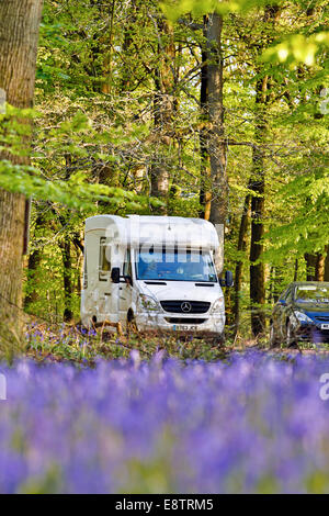 Glockenblumen; und Wohnmobil; Forest of Dean; UK Stockfoto