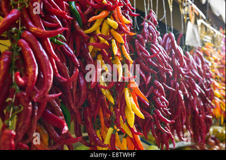 Strings von Chilis für den Verkauf auf einem Straßenmarkt Stall in Sorrent, Italien Stockfoto