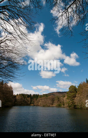 Blick über das untere Loch, Bowhill, Selkirk Stockfoto