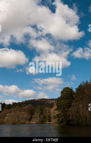 Blick über das untere Loch, Bowhill, Selkirk Stockfoto