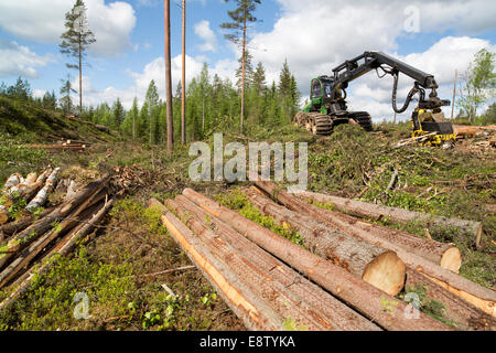 John Deere 1170E-Holzerntemaschine und Holzfällung und Holzbock aus Fichte ( Tanne ) im freien Schnittbereich im Taiga-Wald in Finnland Stockfoto