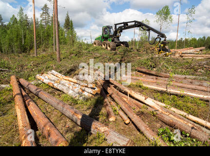 John Deere 1170E Walderntemaschinen und Fichtenstämme an klaren Schnittfläche und gefällt Fichtenstämme ( picea abies , Tanne ) in Taiga Wald , Finnland Stockfoto