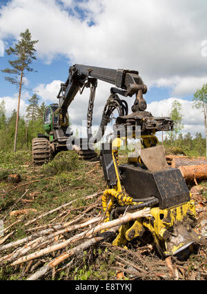 John Deere 1170E Wald Harvester Cutter Kopf, Finnland Stockfoto