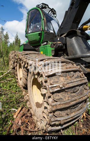 John Deere 1170E Wald Harvester Reifen und Reifenspuren, Finnland Stockfoto