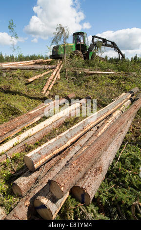 John Deere 1170E Walderntemaschine und Fichtenstämme ( picea abies , Tanne ) auf klarem Schnittgebiet im Taiga Wald , Finnland Stockfoto