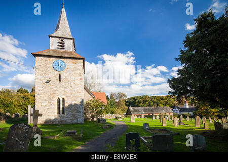 St. Michael & All Angels Kirche Lingen Dorf Herefordshire England UK Stockfoto