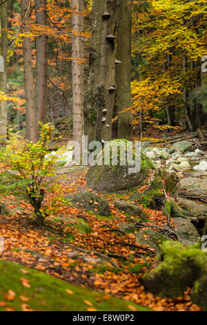 Fluss Mumlava und Wasserfällen, riesigen Berg, Nord-Böhmen
