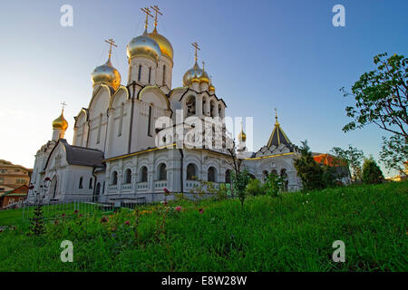 Kathedrale Mariä Geburt in Konzeption-Kloster in Moskau Ansicht vom Garten Rasen Stockfoto