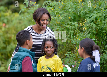 Washington, DC, USA. 14. Oktober 2014. U.S. First Lady Michelle Obama nimmt Gemüse und Obst mit Studenten aus Arizona, Kalifornien und Ohio während der Herbst-Ernte im Weißen Haus Küchengarten in Washington, USA, 14. Oktober 2014. Bildnachweis: Yin Bogu/Xinhua/Alamy Live-Nachrichten Stockfoto