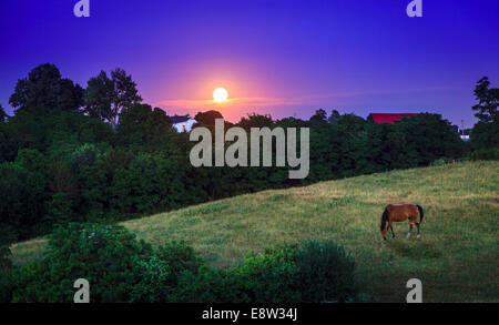 Mond steigt über Farmland in Kentucky Bluegrass region Stockfoto