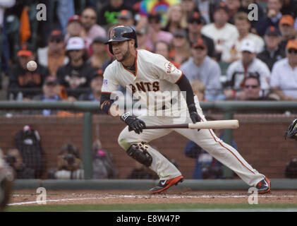 San Francisco, CA, USA. 14. Oktober 2014. San Francisco Giants GREGOR BLANCO (7) legt ein Bunt im 10. Inning mit Läufern in zweiter und erster. St. Louis Cardinals Entlastung Krug Randy Choate (36) warf den Ball wie er versucht, einen Wurf zu ersten machen, führen zu den Riesen Gewinn laufen in Spiel 3 der National League Championship Series im AT&T Park. (Kredit-Bild: © Jose Luis Villegas/Sacramento Bee/ZUMA Draht) Stockfoto