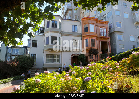 Blumen auf Lombard Street, Russian Hill, San Francisco Stockfoto