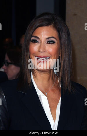 Los Angeles, Kalifornien, USA. 14. Oktober 2014. Teri Hatcher besucht die 20. jährlichen Erfüllung Fund Stars Benefiz-Gala am 14. Oktober 2014 im The Beverly Hilton Hotel, Beverly Hills.California.USA. Bildnachweis: TLeopold/Globe Fotos/ZUMA Draht/Alamy Live-Nachrichten Stockfoto