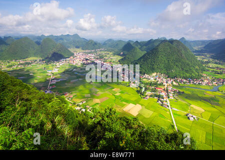 Reisfeld im Tal rund um mit Berg Vogelperspektive in Bac Sohn, Vietnam. Stockfoto