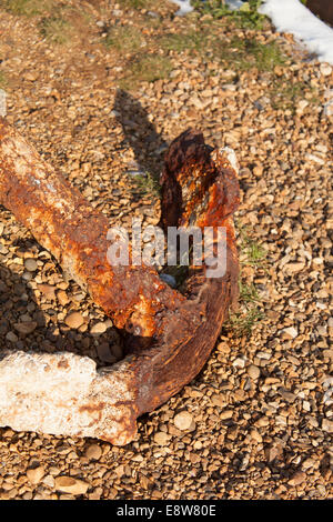 Whitstable Kent Stockfoto