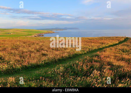 Blick auf die Bucht von Marwick, Marwick Head, Festland, Orkney, Schottland, Vereinigtes Königreich Stockfoto