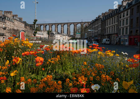 Blumen vor den Viaduc de Morlaix, Viadukt, Morlaix, Bretagne, Frankreich Stockfoto